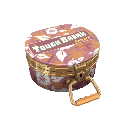 Tough Break Cosmetic Case #101